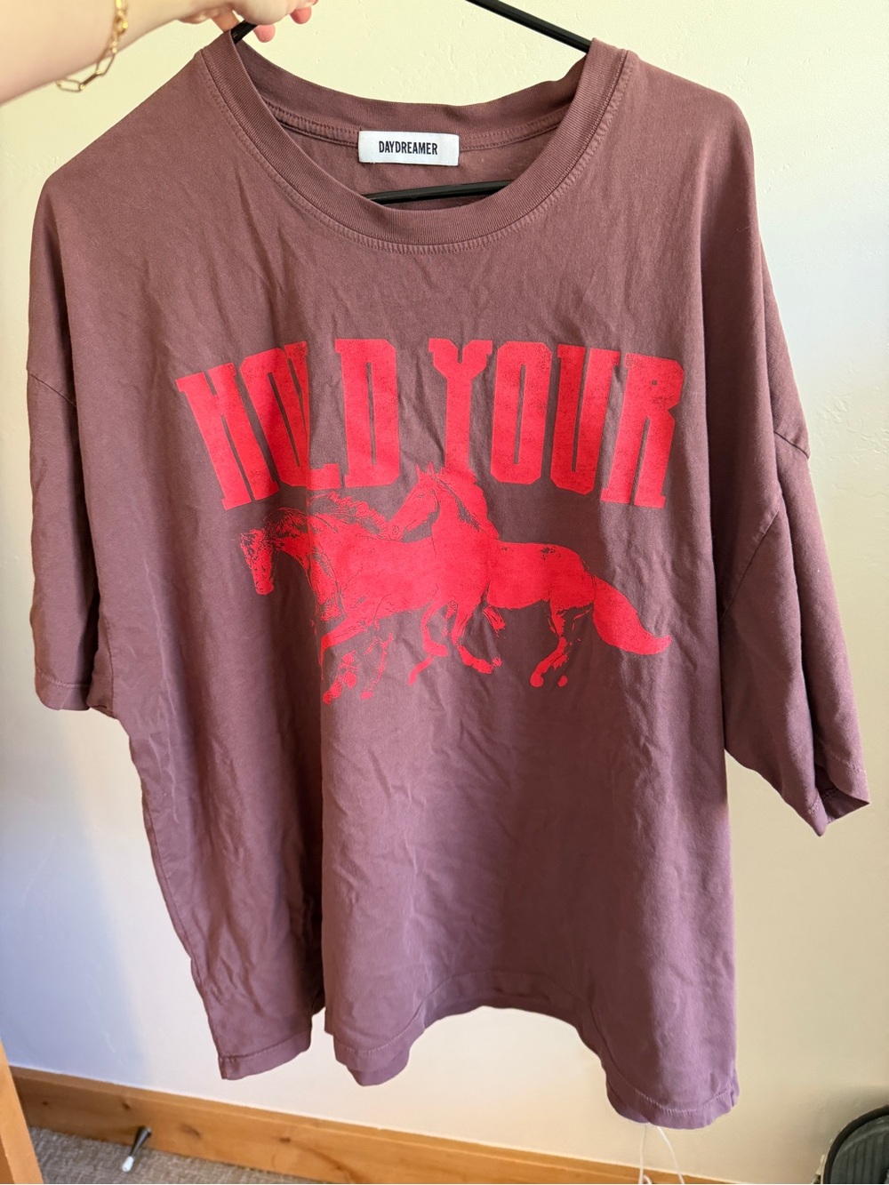DAYDREAMER LA OS Hold Your Horses Graphic Tee - Brown with Red Print - Picture 2 of 3